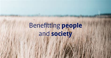 novo foundation grants manager|DD2 Research Grant 2024 .